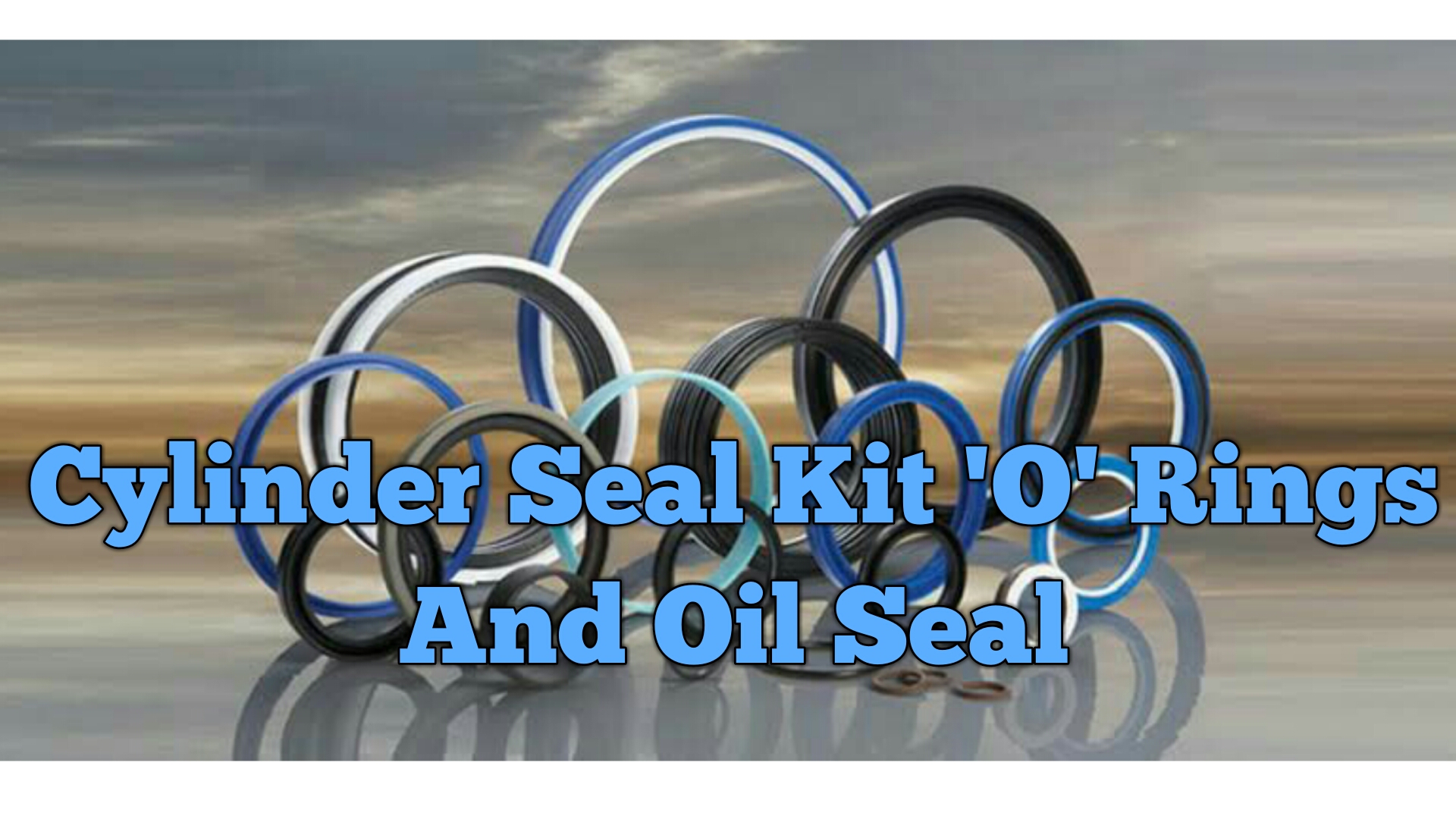 o'rings and oil seal